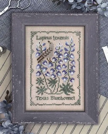 Botanical Stitches - Texas Bluebonnet